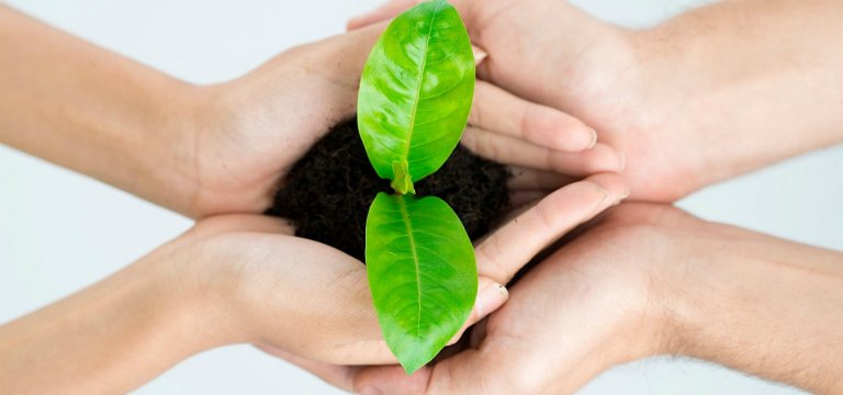 Wave City- Cherishing the Ecstasy of Green Living