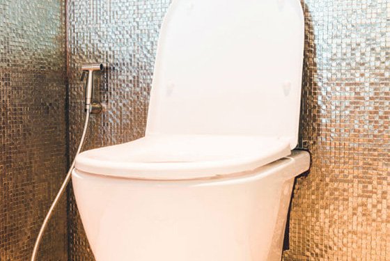 Toilet (Other Bedroom)