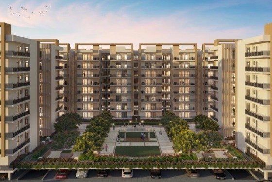 Structure & Services